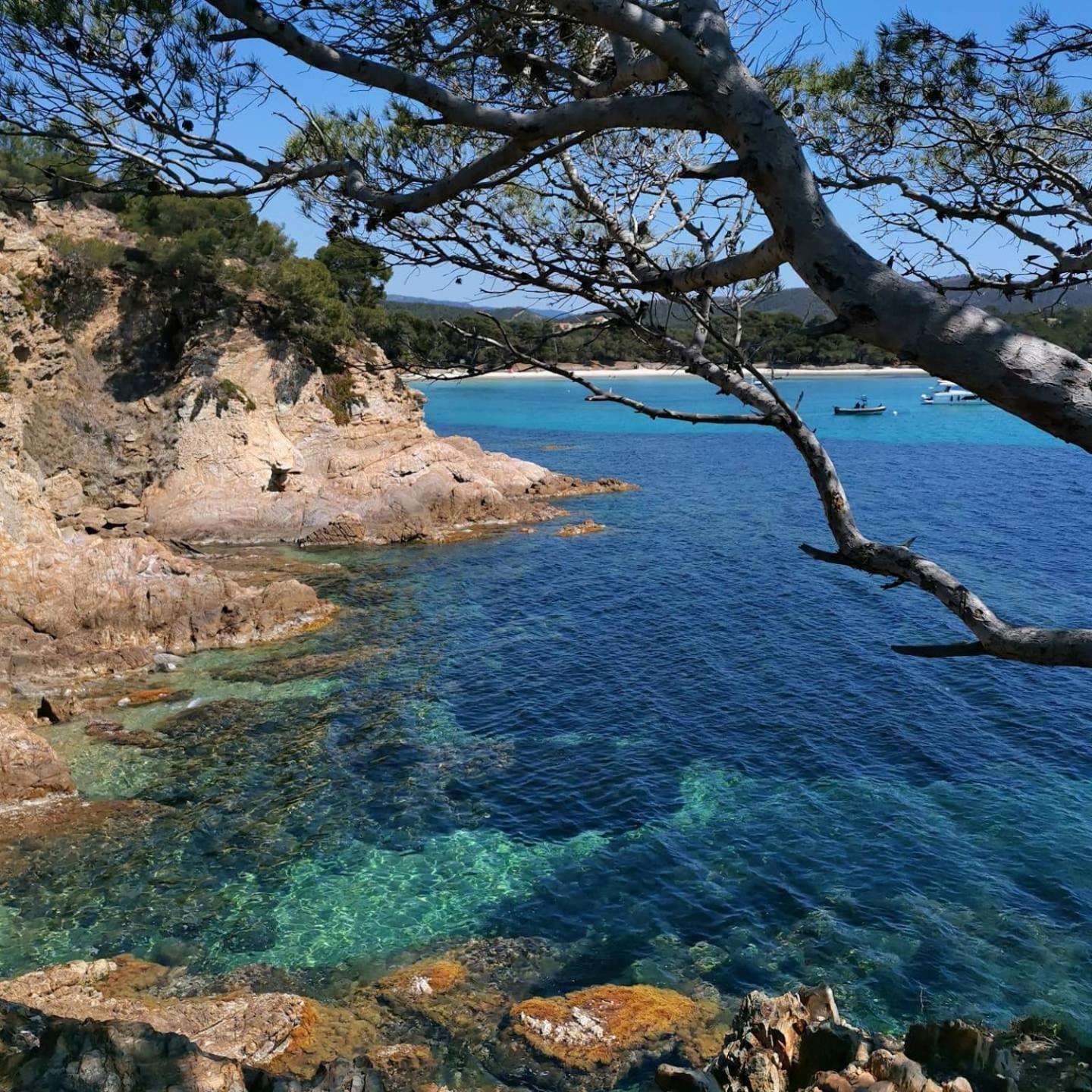 à Port - Proche De Toutes Commodités * Hyères